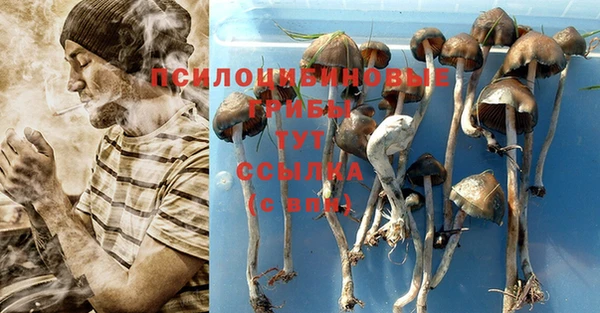 экстази Баксан