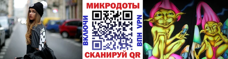 Псилоцибиновые грибы Psilocybine cubensis  Волгореченск 