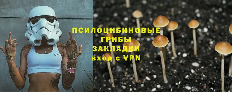 Галлюциногенные грибы MAGIC MUSHROOMS  купить закладку  Волгореченск 