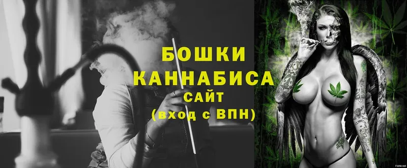 Бошки Шишки семена  blacksprut ССЫЛКА  Волгореченск  купить наркотики сайты 